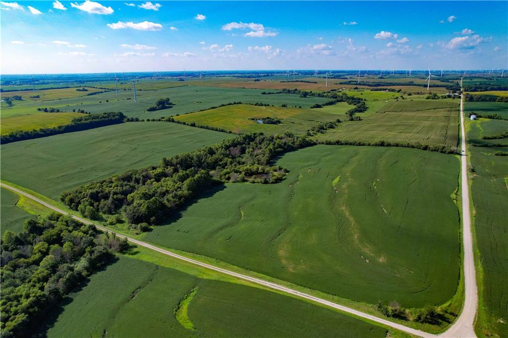 Listing Photo MLS #HMS2638875