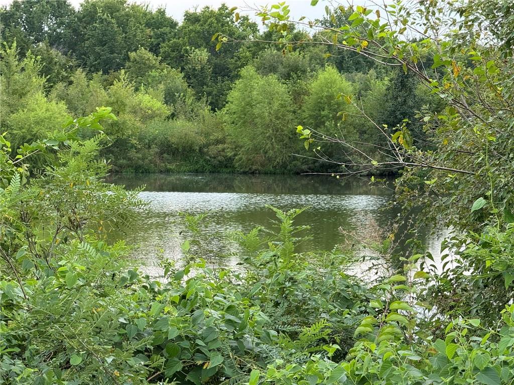 Listing Photo MLS #HMS2638911