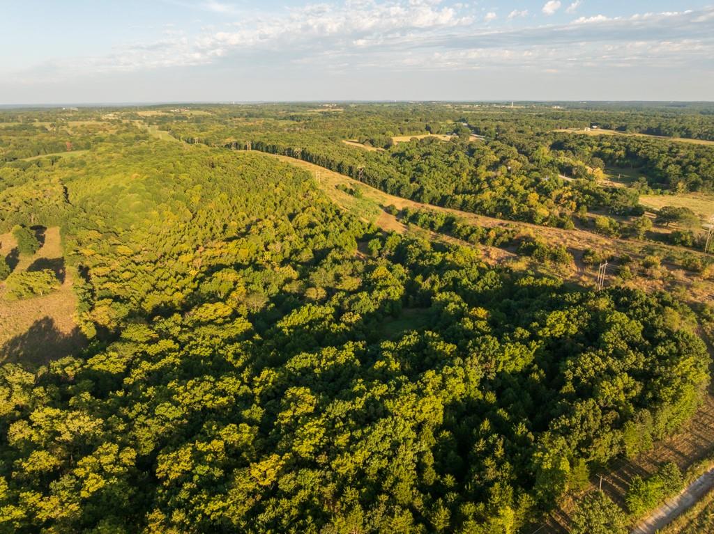 Listing Photo MLS #HMS2638953