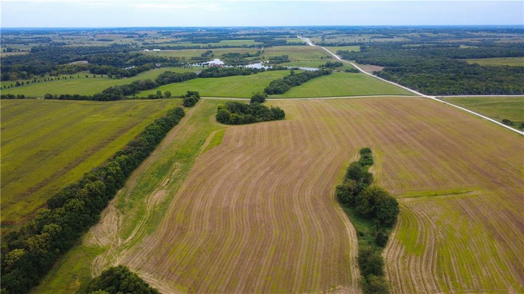 Listing Photo MLS #HMS2639205