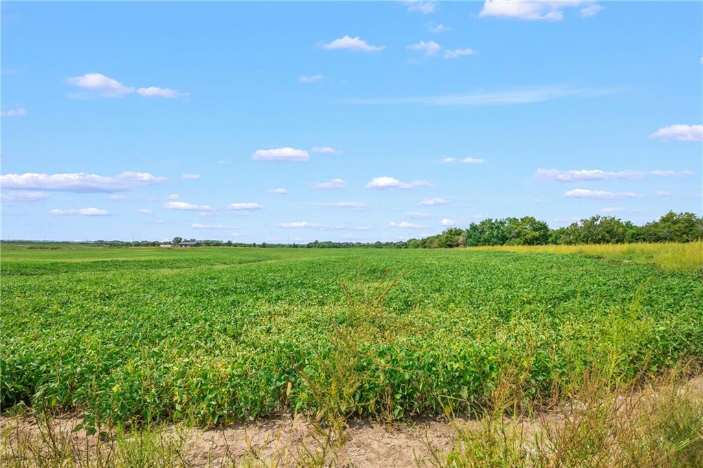 Listing Photo MLS #HMS2639531
