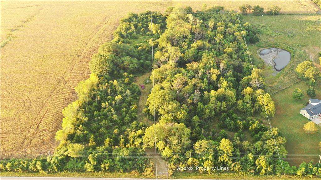 Listing Photo MLS #HMS2639562