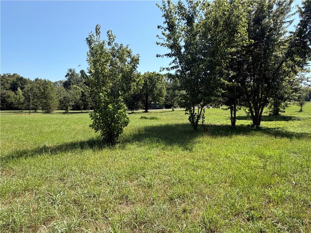 Listing Photo MLS #HMS2640165