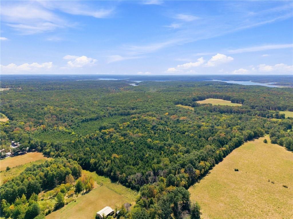 Listing Photo MLS #HMS2640208