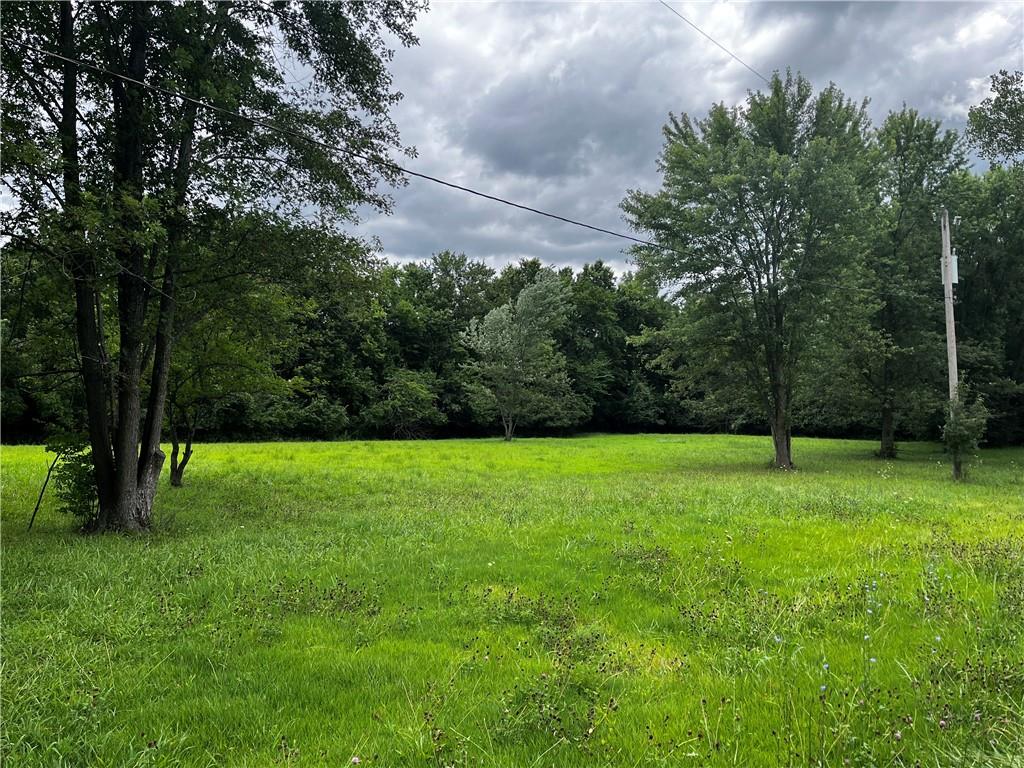 Listing Photo MLS #HMS2640772