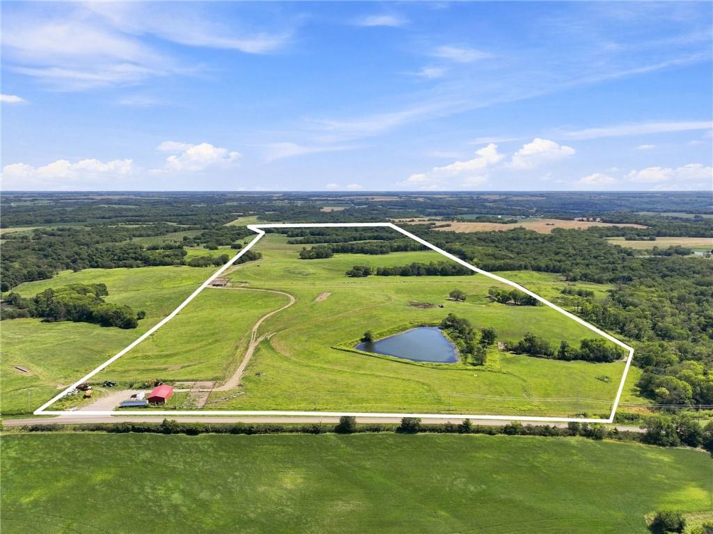 Listing Photo MLS #HMS2641912