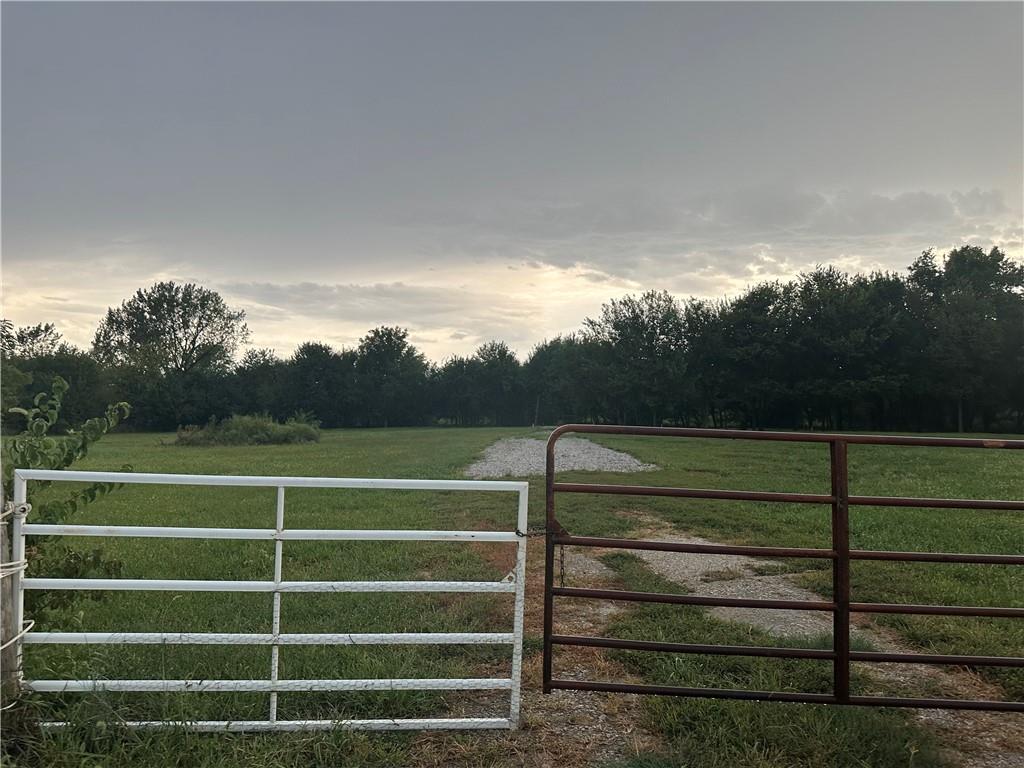 Listing Photo MLS #HMS2642103