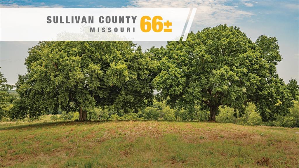 Listing Photo MLS #HMS2642288
