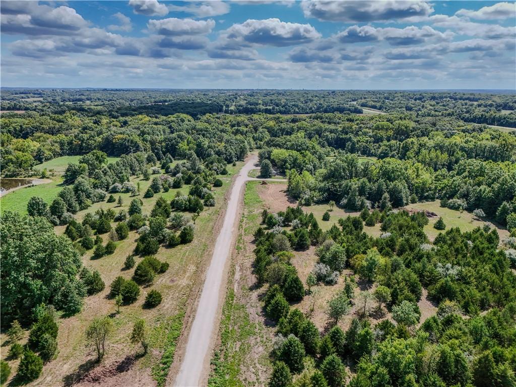 Listing Photo MLS #HMS2642345