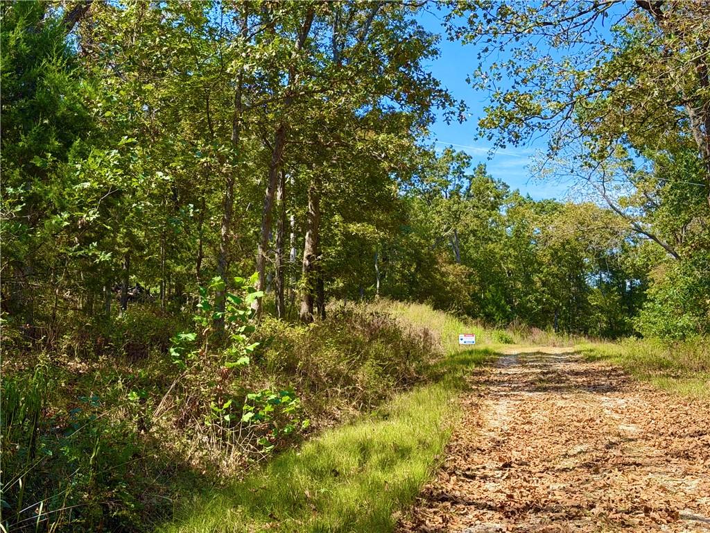 Listing Photo MLS #HMS2642640