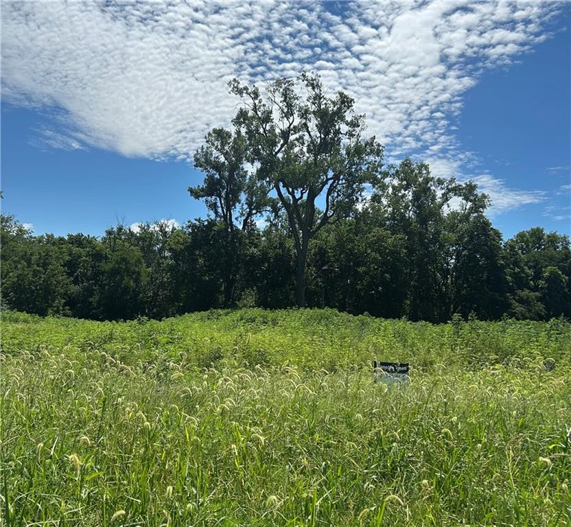 Listing Photo MLS #HMS2642701