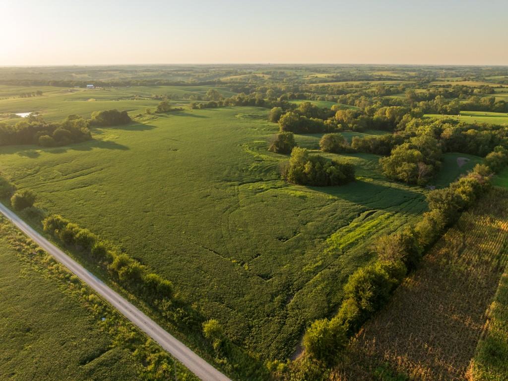 Listing Photo MLS #HMS2643020