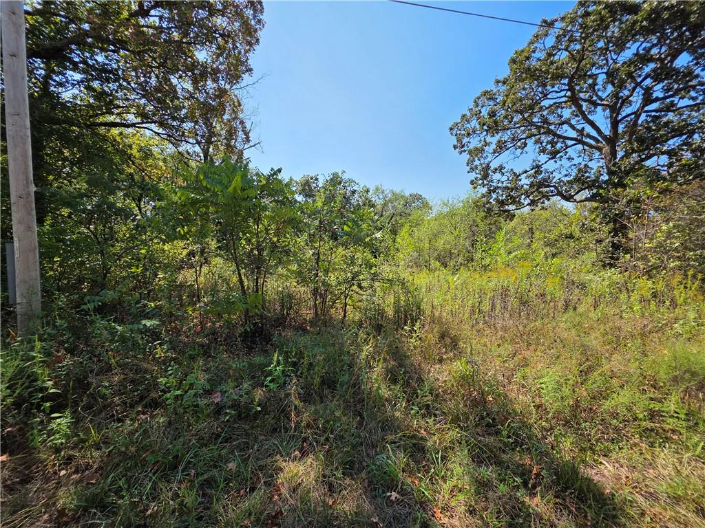 Listing Photo MLS #HMS2643211
