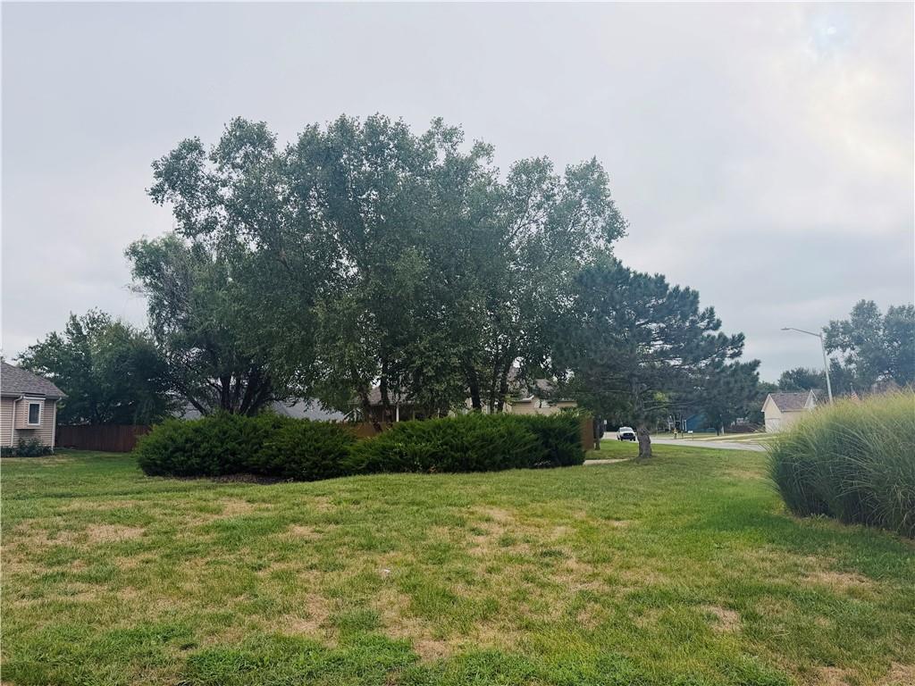 Listing Photo MLS #HMS2643463