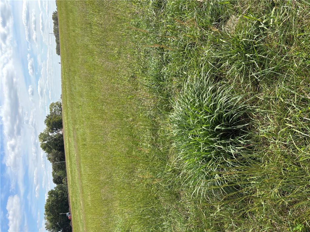 Listing Photo MLS #HMS2643642