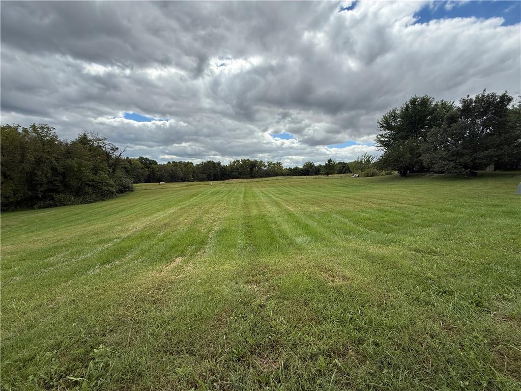 Listing Photo MLS #HMS2643646