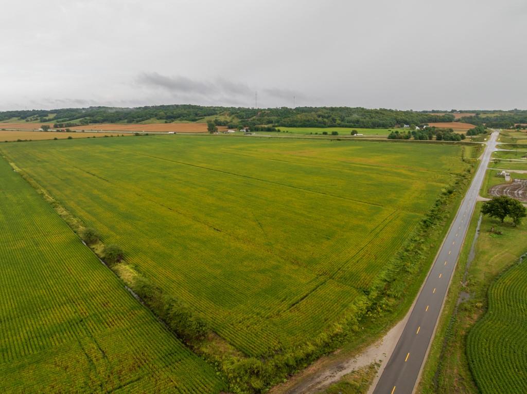 Listing Photo MLS #HMS2644180