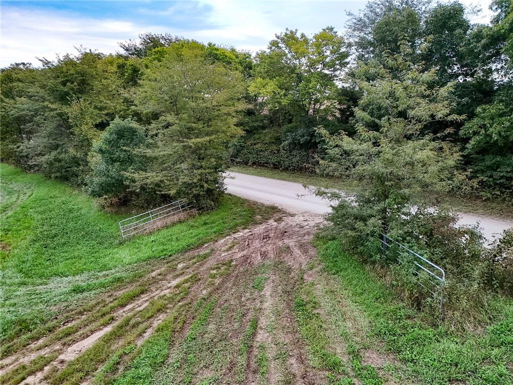 Listing Photo MLS #HMS2644427