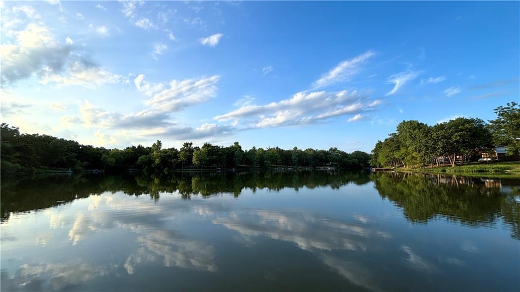 Listing Photo MLS #HMS2644710