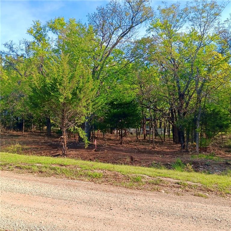Listing Photo MLS #HMS2644753
