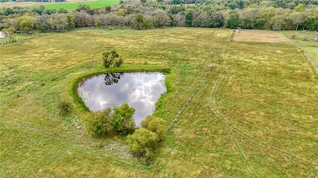 Listing Photo MLS #HMS2644911
