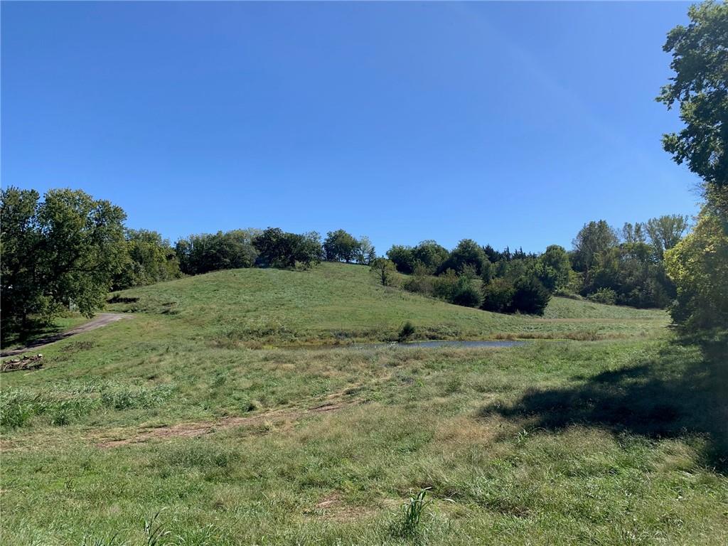 Listing Photo MLS #HMS2645399