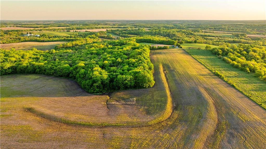 Listing Photo MLS #HMS2645407