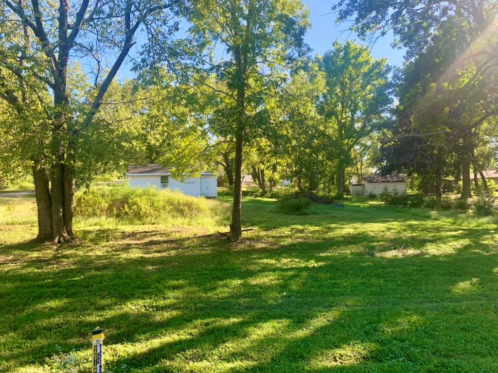 Listing Photo MLS #HMS2645553
