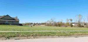 Listing Photo MLS #HMS2646091