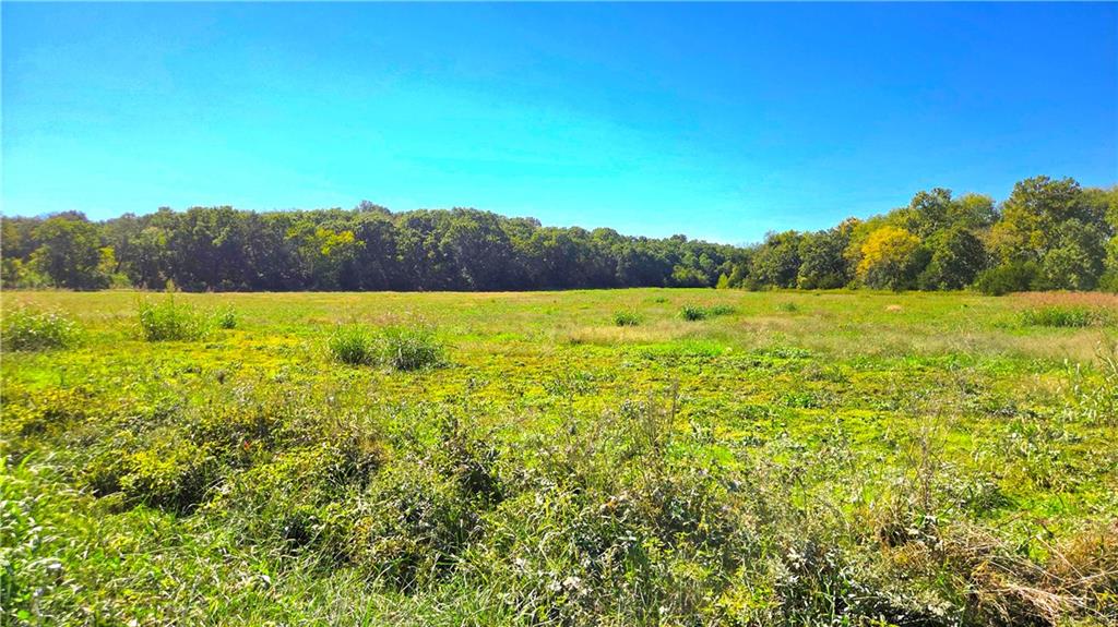 Listing Photo MLS #HMS2646257