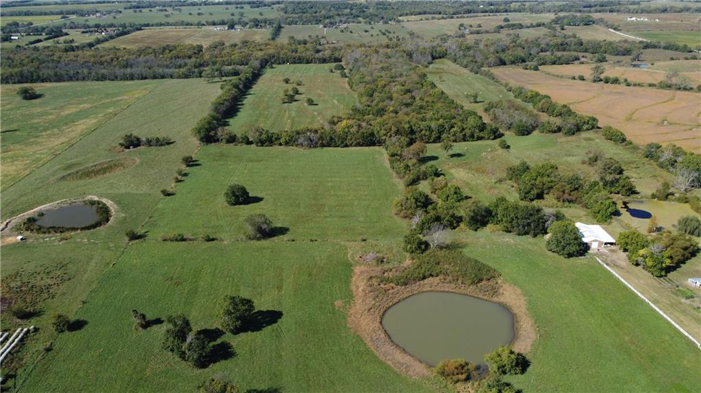 Listing Photo MLS #HMS2646403