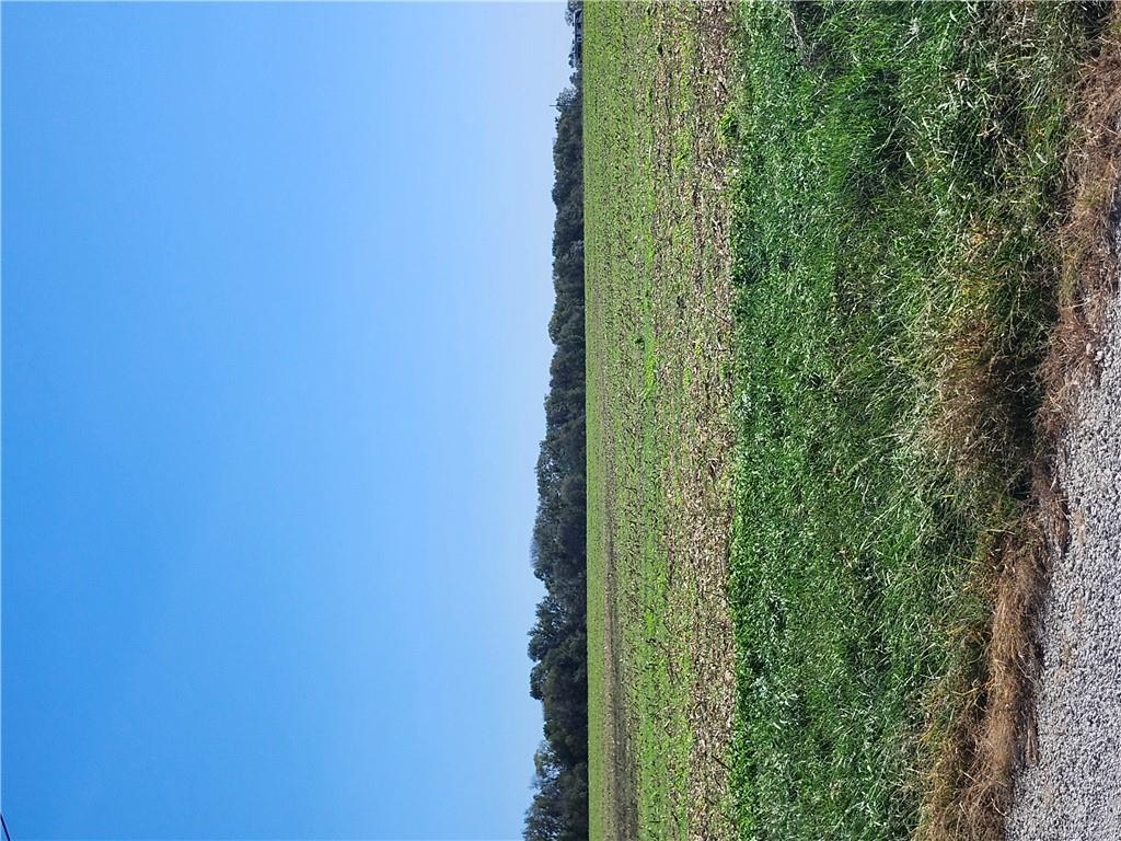 Listing Photo MLS #HMS2646794