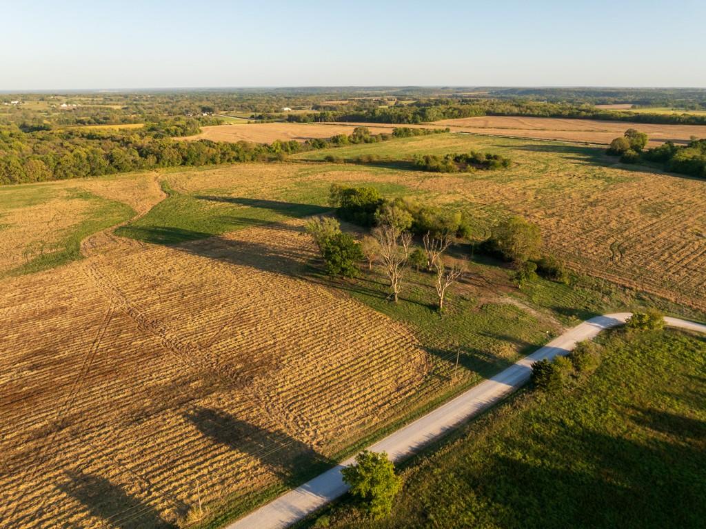 Listing Photo MLS #HMS2647509