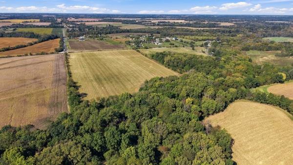 Listing Photo MLS #HMS2647790