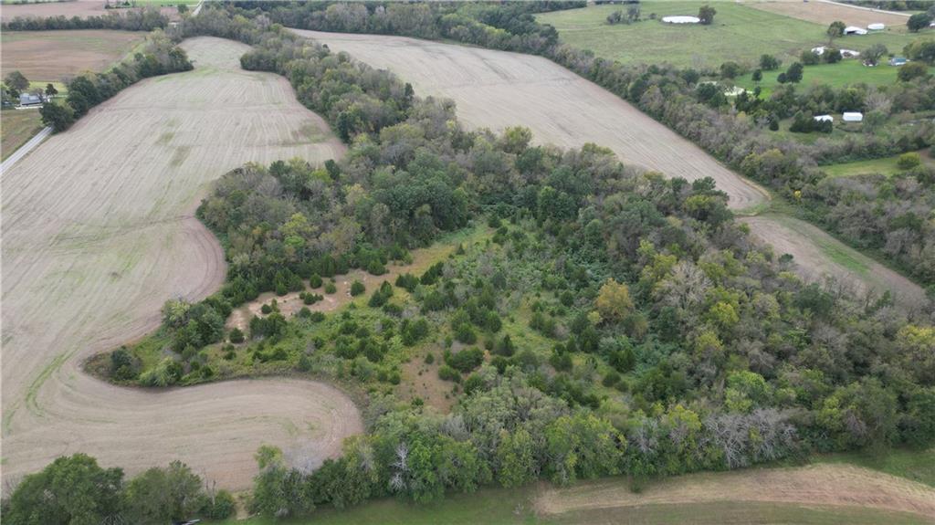 Listing Photo MLS #HMS2648059