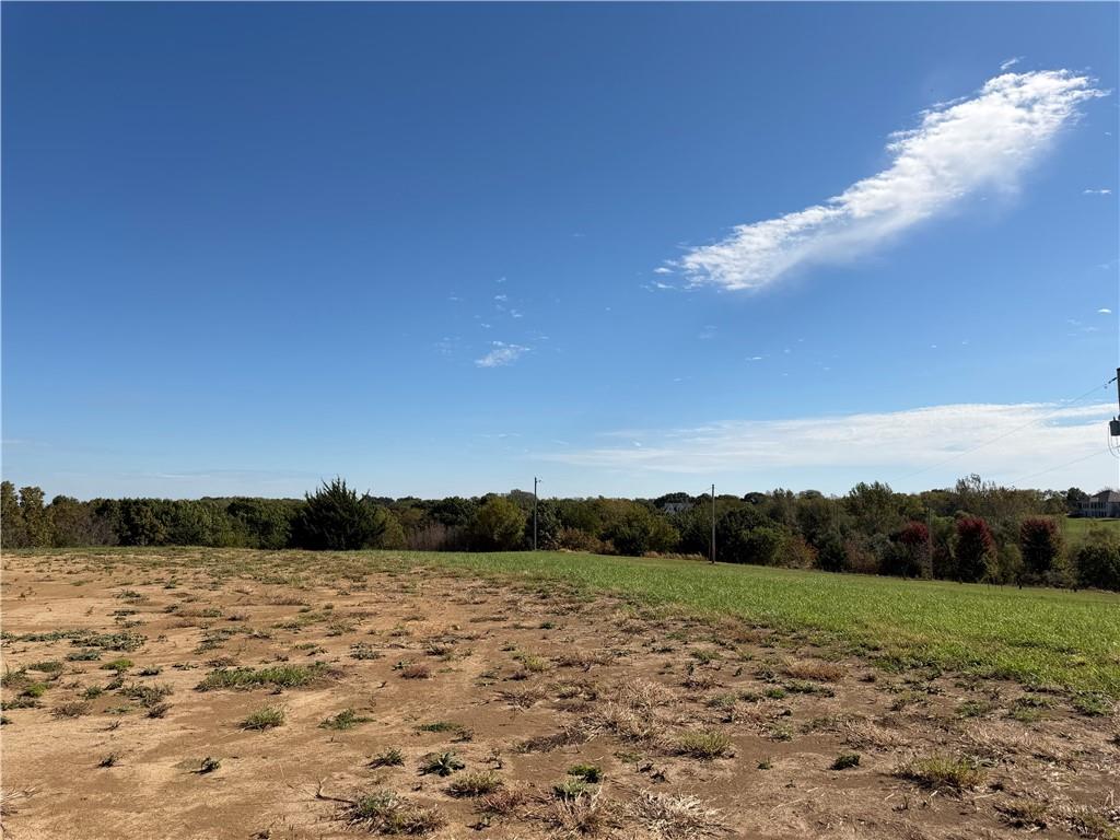Listing Photo MLS #HMS2648148