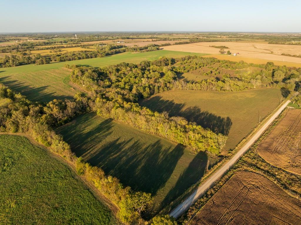 Listing Photo MLS #HMS2648334