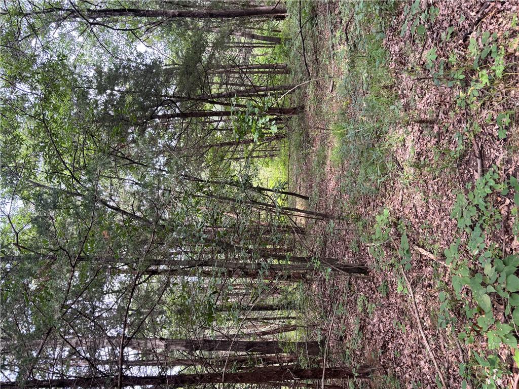 Listing Photo MLS #HMS2648342