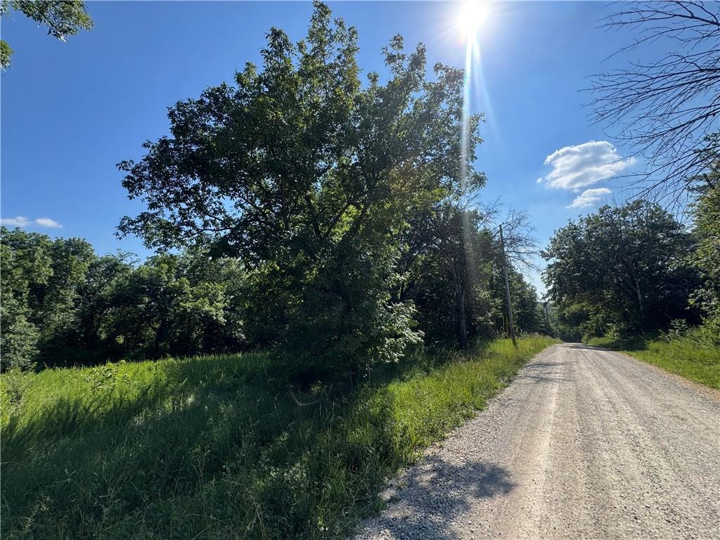 Listing Photo MLS #HMS2649031