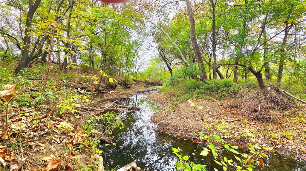 Listing Photo MLS #HMS2649137