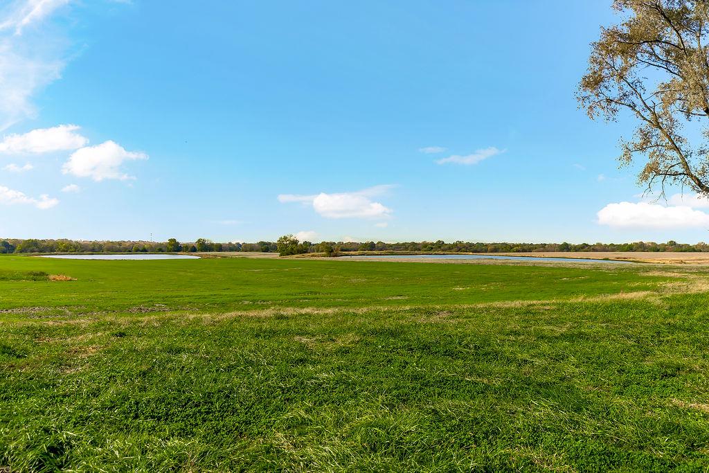 Listing Photo MLS #HMS2649300