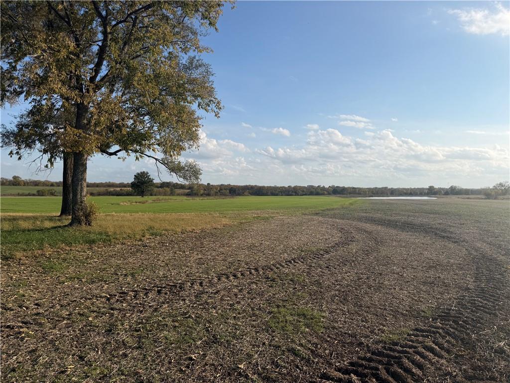 Listing Photo MLS #HMS2649327
