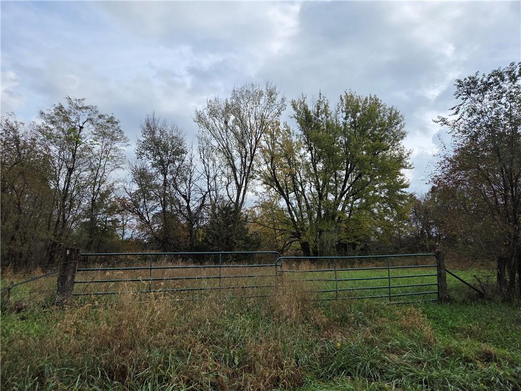 Listing Photo MLS #HMS2649688