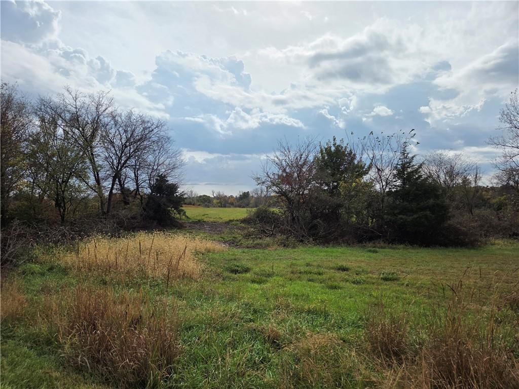 Listing Photo MLS #HMS2649691